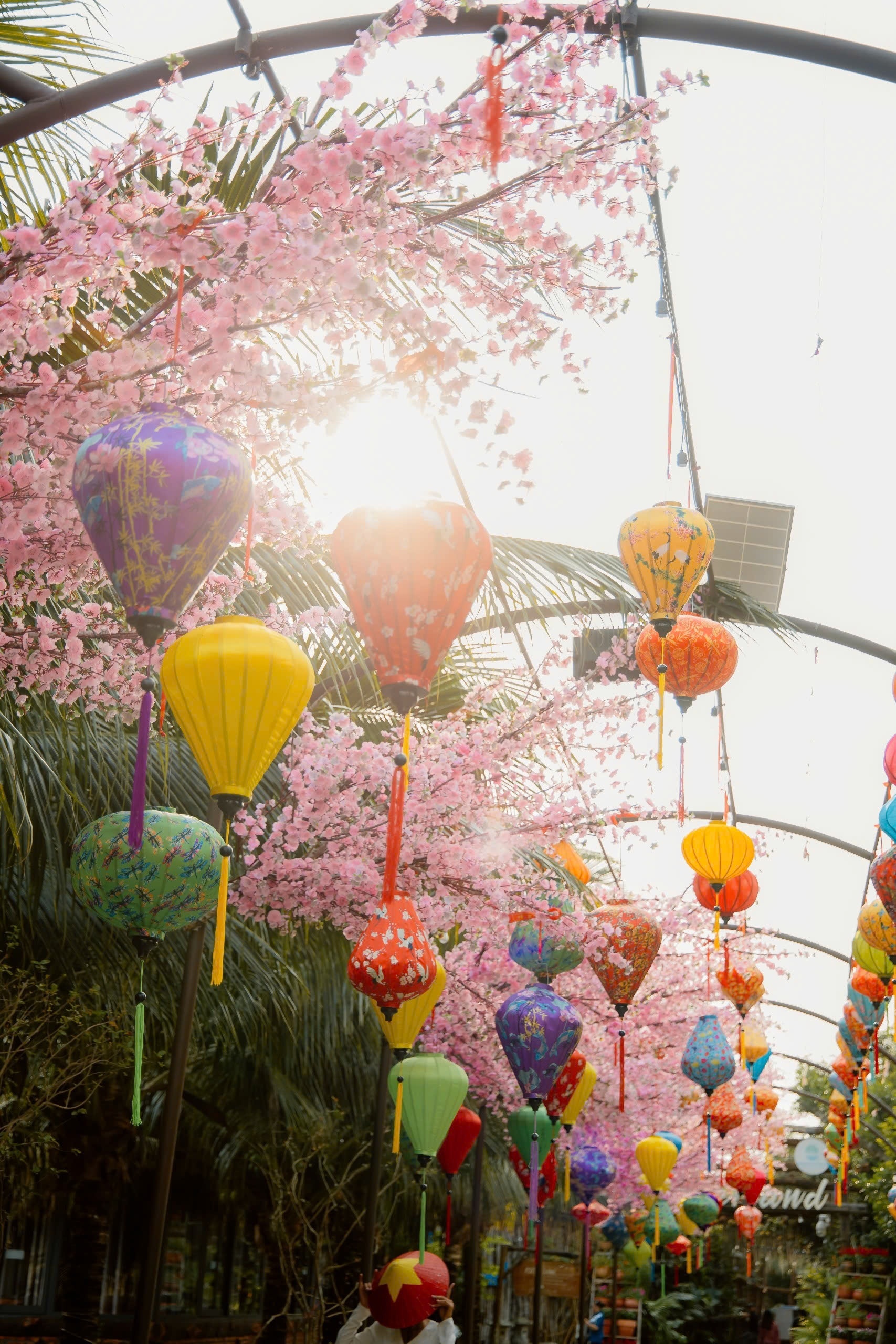 Nhiều chương trình hấp dẫn đón Xuân Ất Tỵ tại Cantho Eco Resort Nhiều chương trình hấp dẫn đón Xuân Ất Tỵ tại Cantho Eco Resort