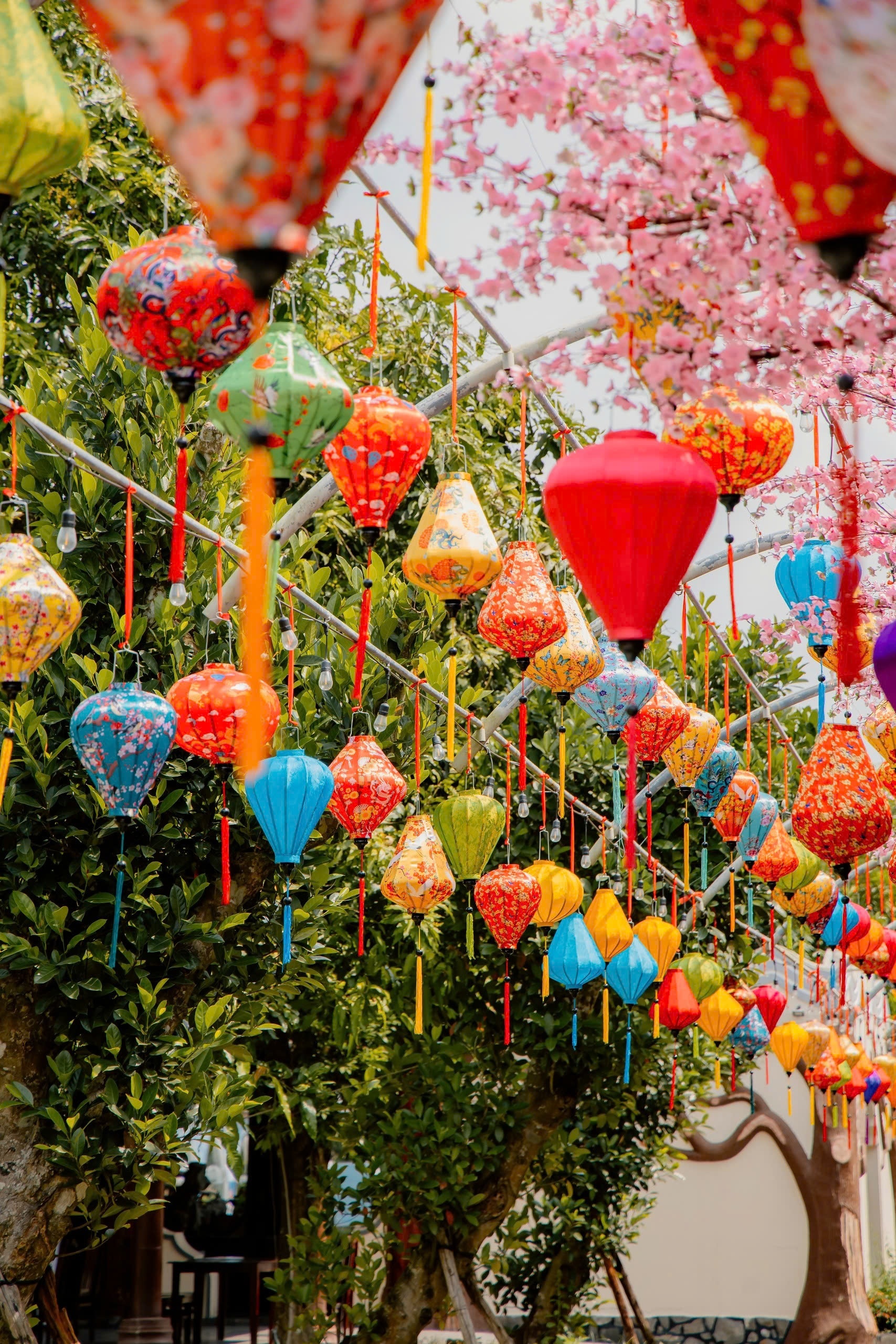 Nhiều chương trình hấp dẫn đón Xuân Ất Tỵ tại Cantho Eco Resort Nhiều chương trình hấp dẫn đón Xuân Ất Tỵ tại Cantho Eco Resort