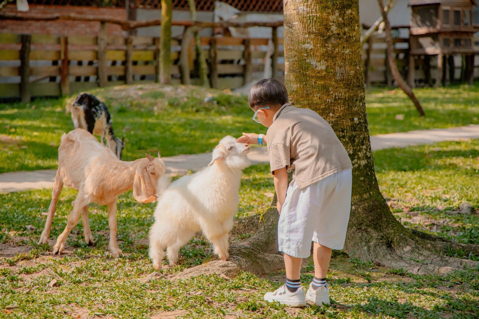 Nhiều chương trình hấp dẫn đón Xuân Ất Tỵ tại Cantho Eco Resort Nhiều chương trình hấp dẫn đón Xuân Ất Tỵ tại Cantho Eco Resort