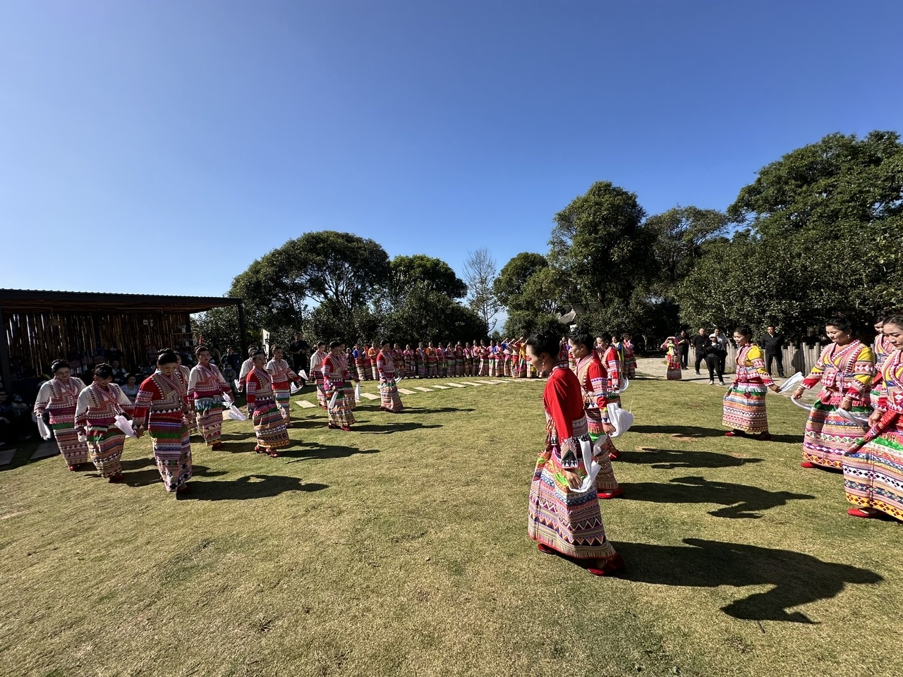 Thưởng thức điệu múa ở vùng trồng trà cho nhà máy trà Đại Ích