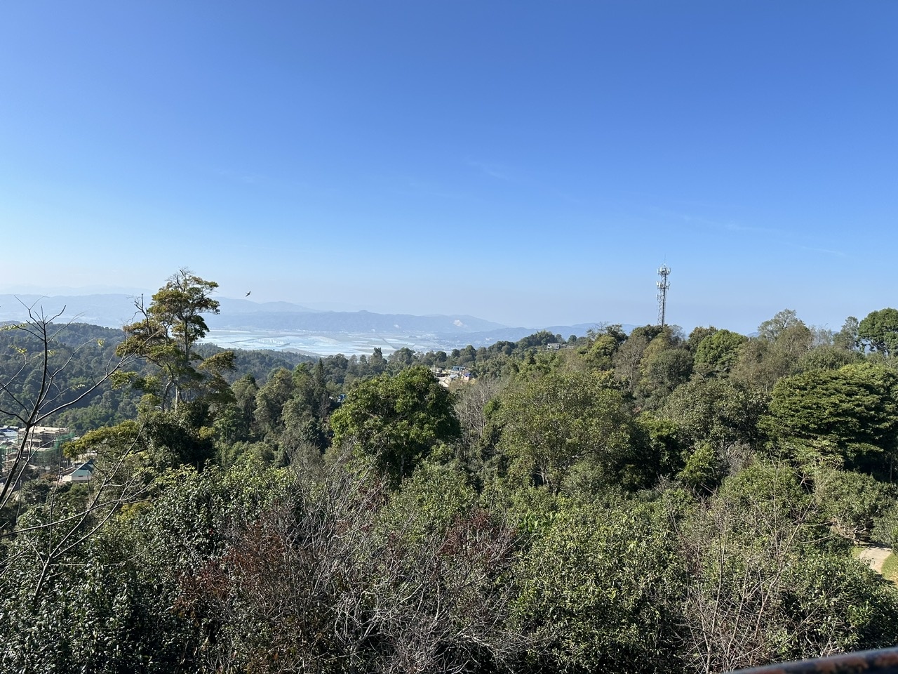 Những đồi trồng trà san tuyết