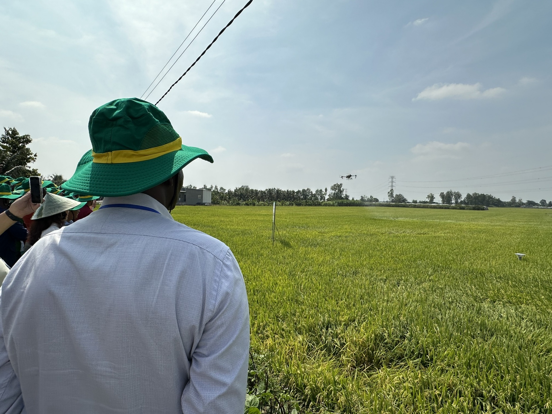 Cơ hội để các mô hình nông nghiệp ở Cần Thơ “cất cánh”