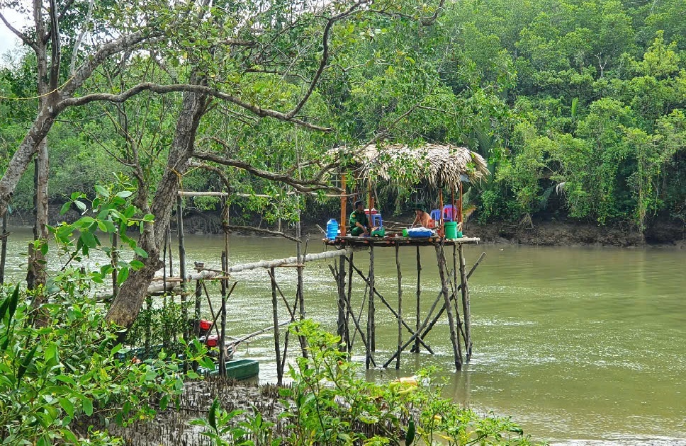 Sâu bên trong rừng  Sác - Cần Giờ có những điểm chốt giữ rừng của lực lượng xung phong TP Hồ Chí Minh. Ảnh: Quang Nhân