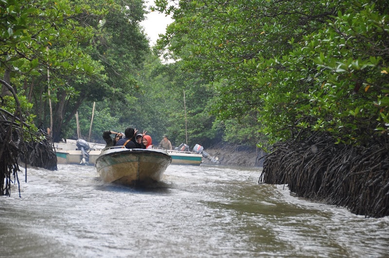 Những người ăn Tết giữa rừng