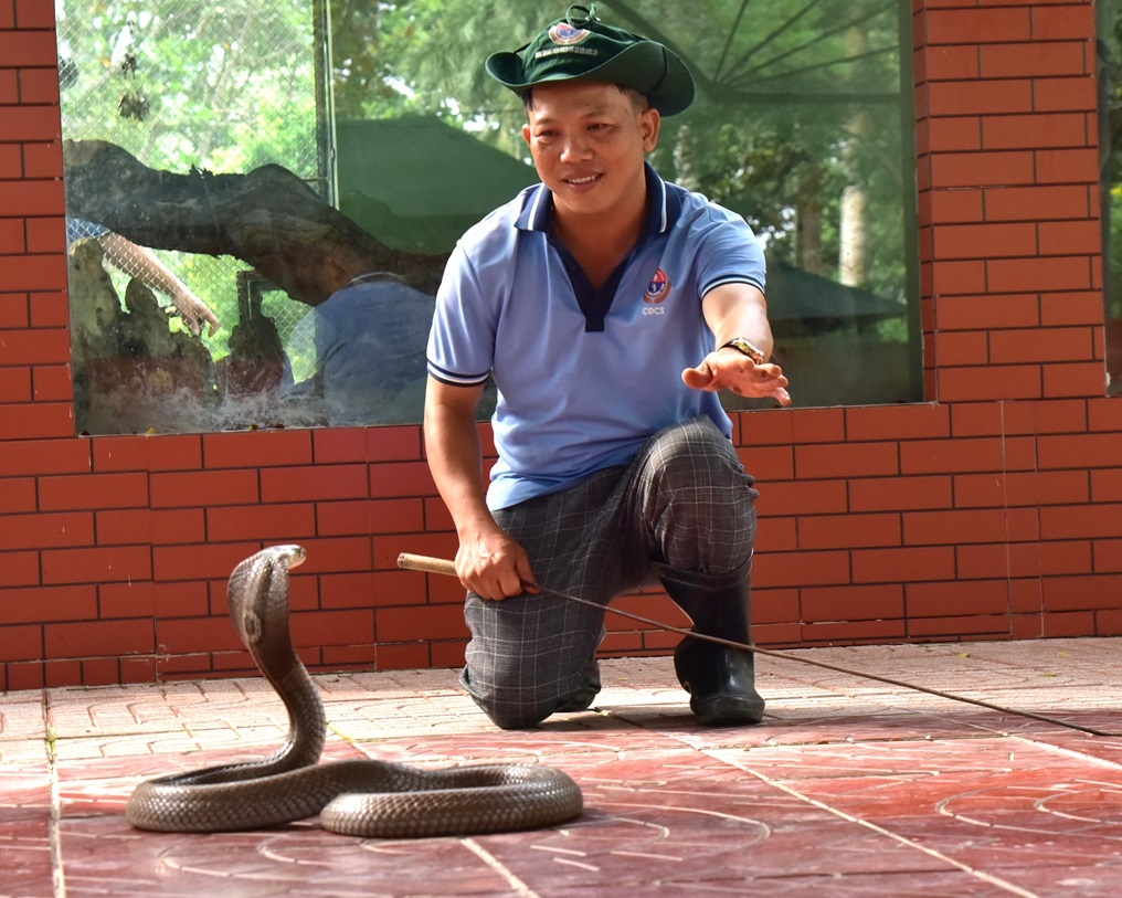 Trò chuyện cùng những “bảo mẫu” ở Trại rắn lớn nhất miền Tây