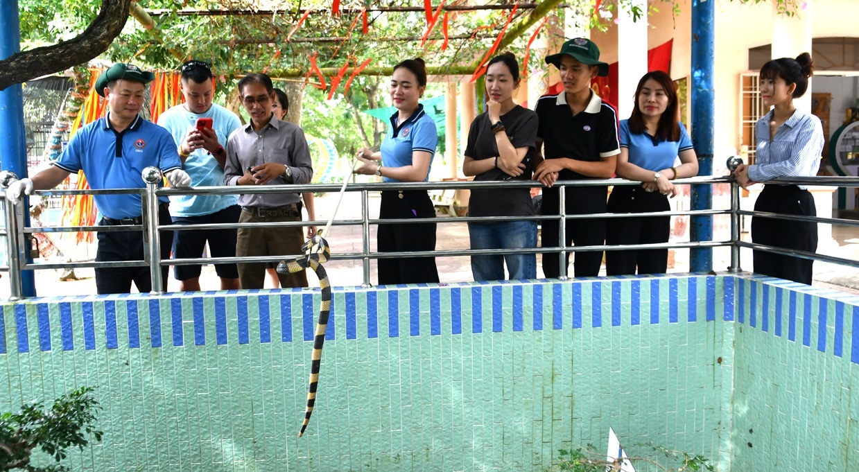 Trò chuyện cùng những “bảo mẫu” ở Trại rắn lớn nhất miền Tây