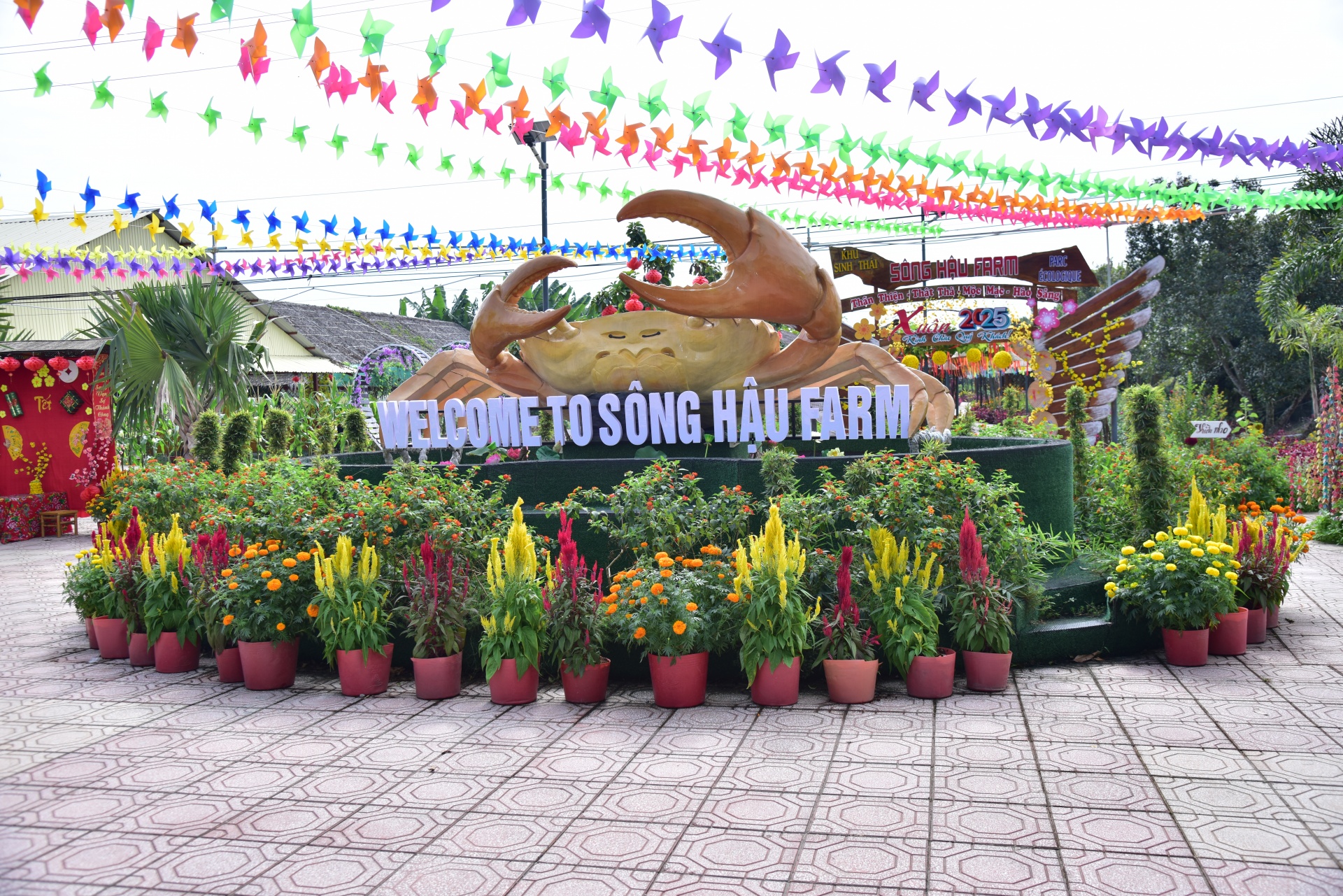 Du lịch sinh thái tại Cần Thơ thu hút du khách dịp Tết Nguyên đán