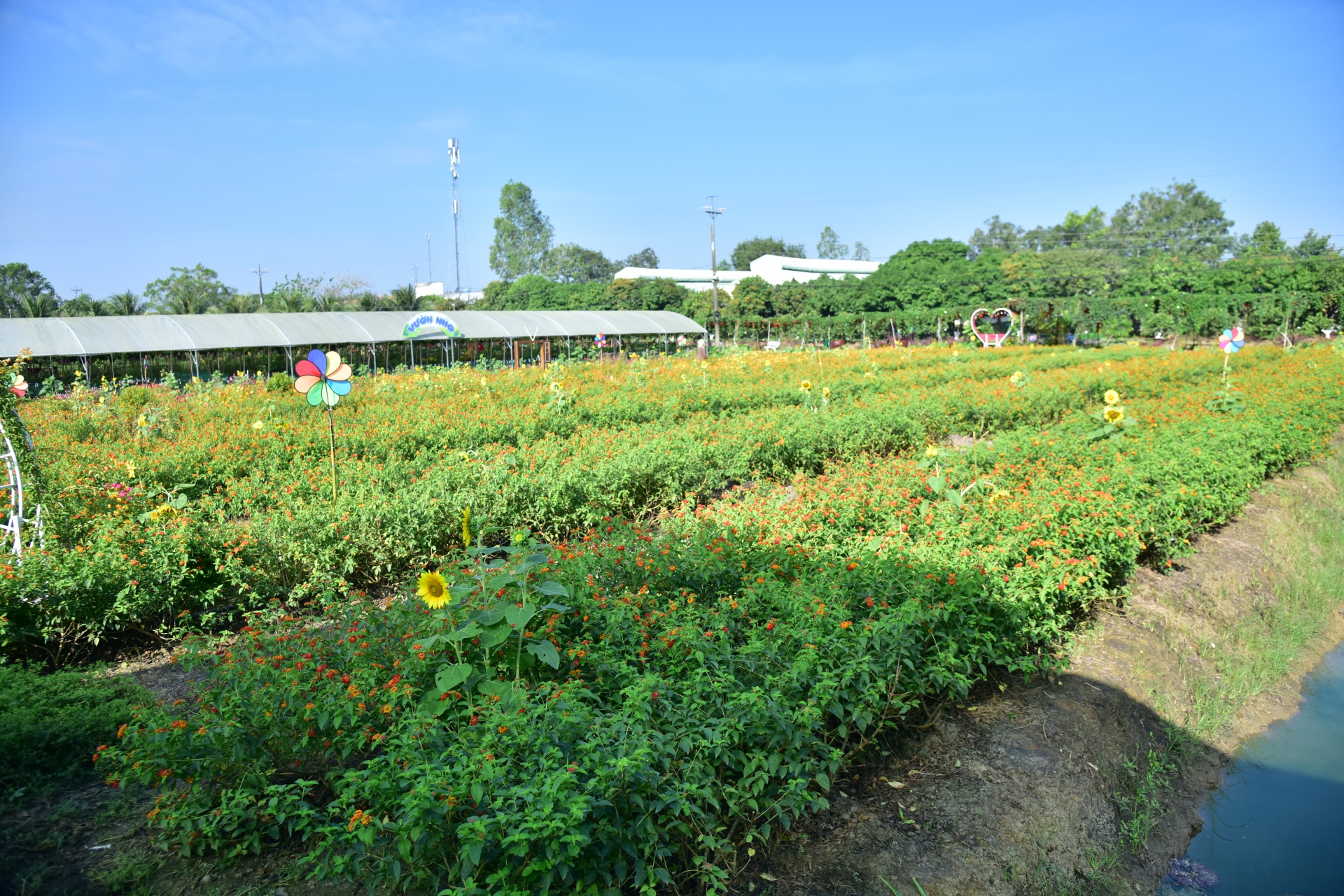 Du lịch sinh thái tại Cần Thơ thu hút du khách dịp Tết Nguyên đán