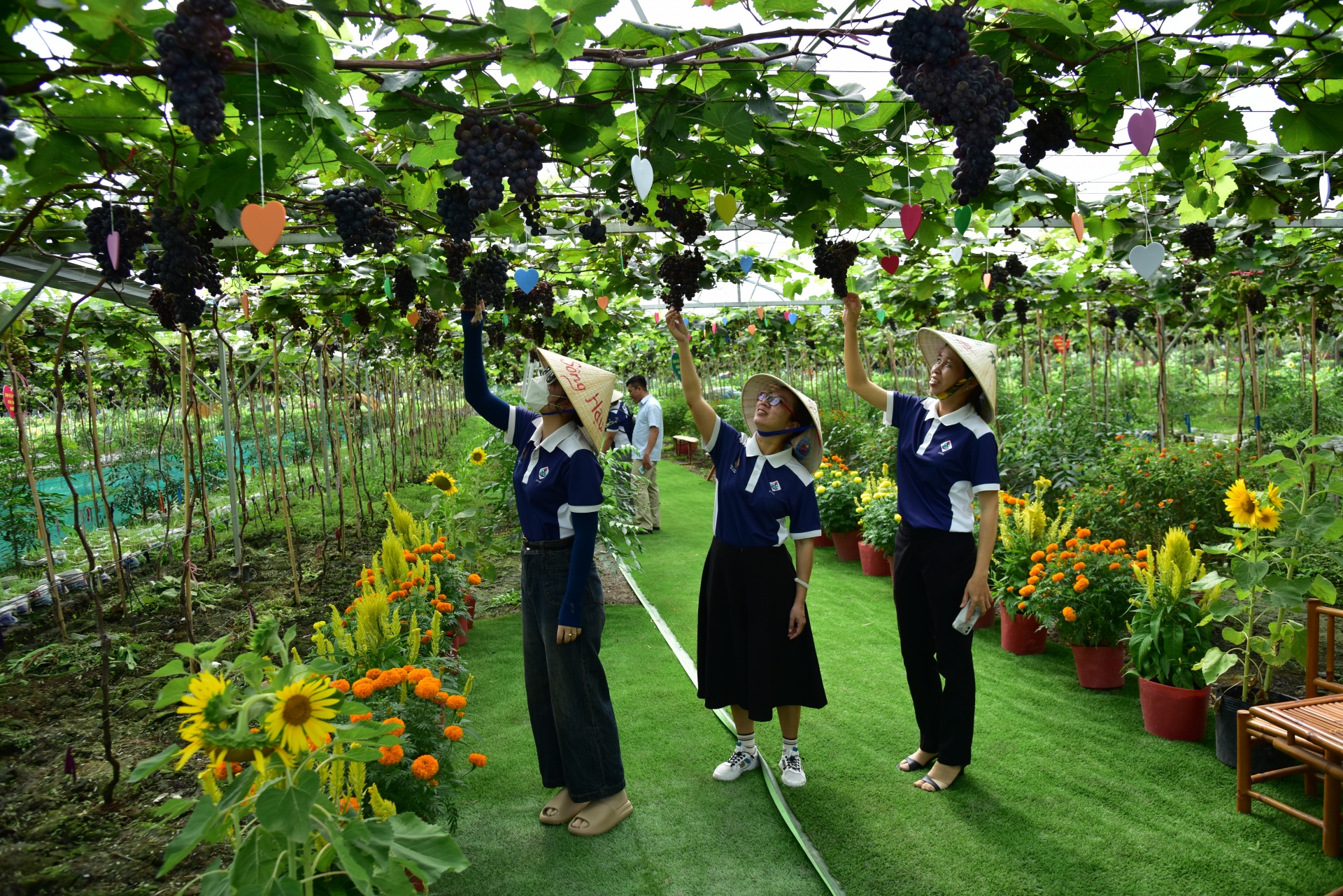 Du lịch sinh thái tại Cần Thơ thu hút du khách dịp Tết Nguyên đán