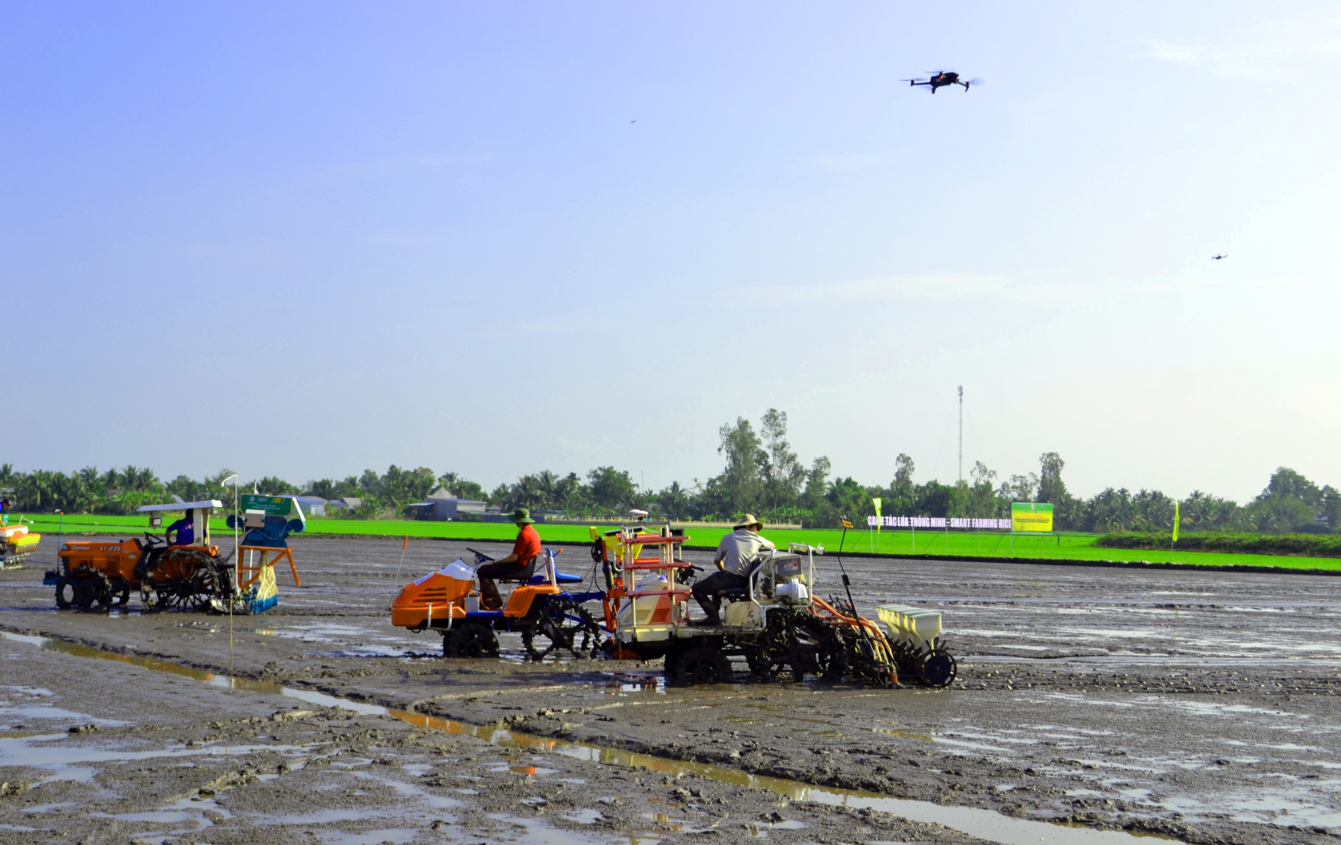 Canh tác lúa thông minh và dự án chuyển đổi nông nghiệp bền vững - cách làm từ Hậu Giang