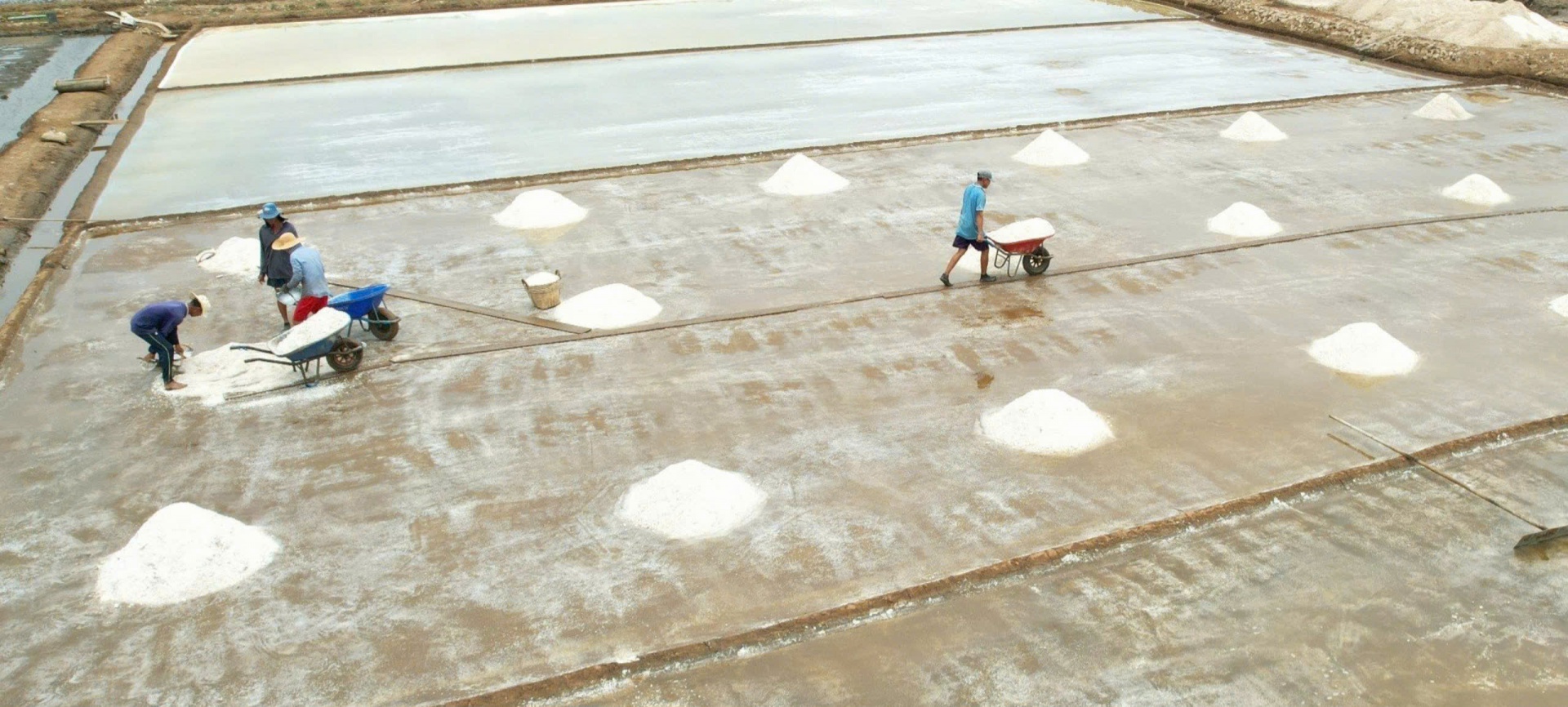 Họp báo Festival nghề muối Việt Nam - Bạc Liêu năm 2025