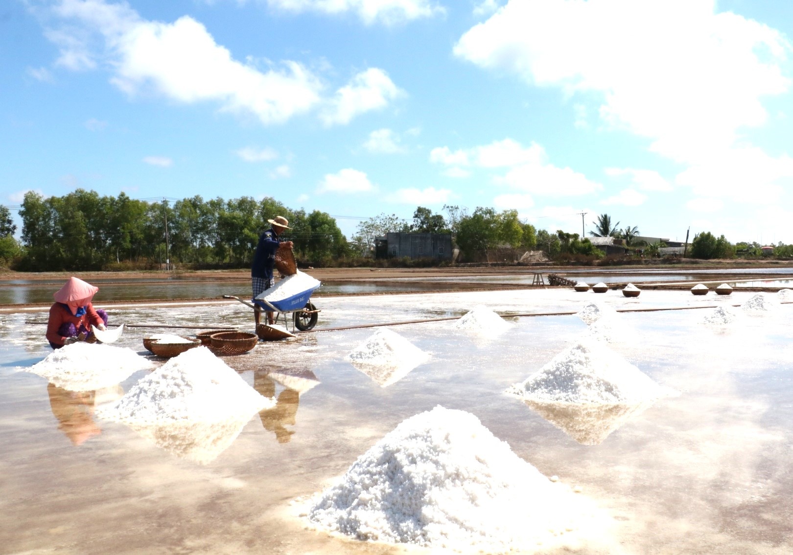 Họp báo Festival nghề muối Việt Nam - Bạc Liêu năm 2025