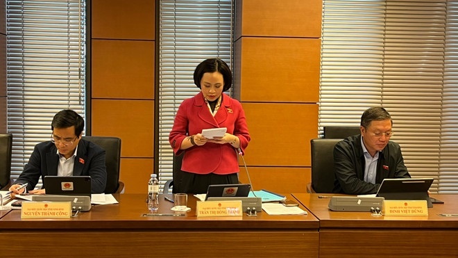   Đại biểu Trần Thị Hồng Thanh phát biểu tại phiên thảo luận tổ. (Ảnh: Vietnam+)