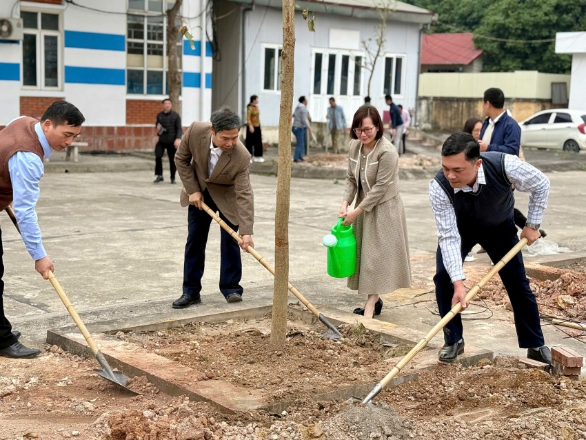 HẠT GIỐNG ĐỎ NẢY MẦM XANH HẠT GIỐNG ĐỎ NẢY MẦM XANH