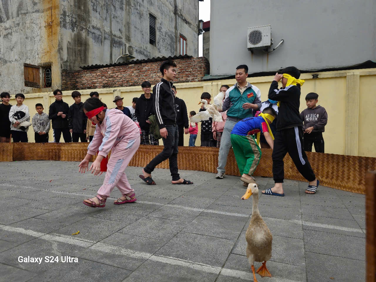 Lễ hội đình làng Đại Đình, Từ Sơn, Bắc Ninh: Nét đẹp văn hóa đầu Xuân