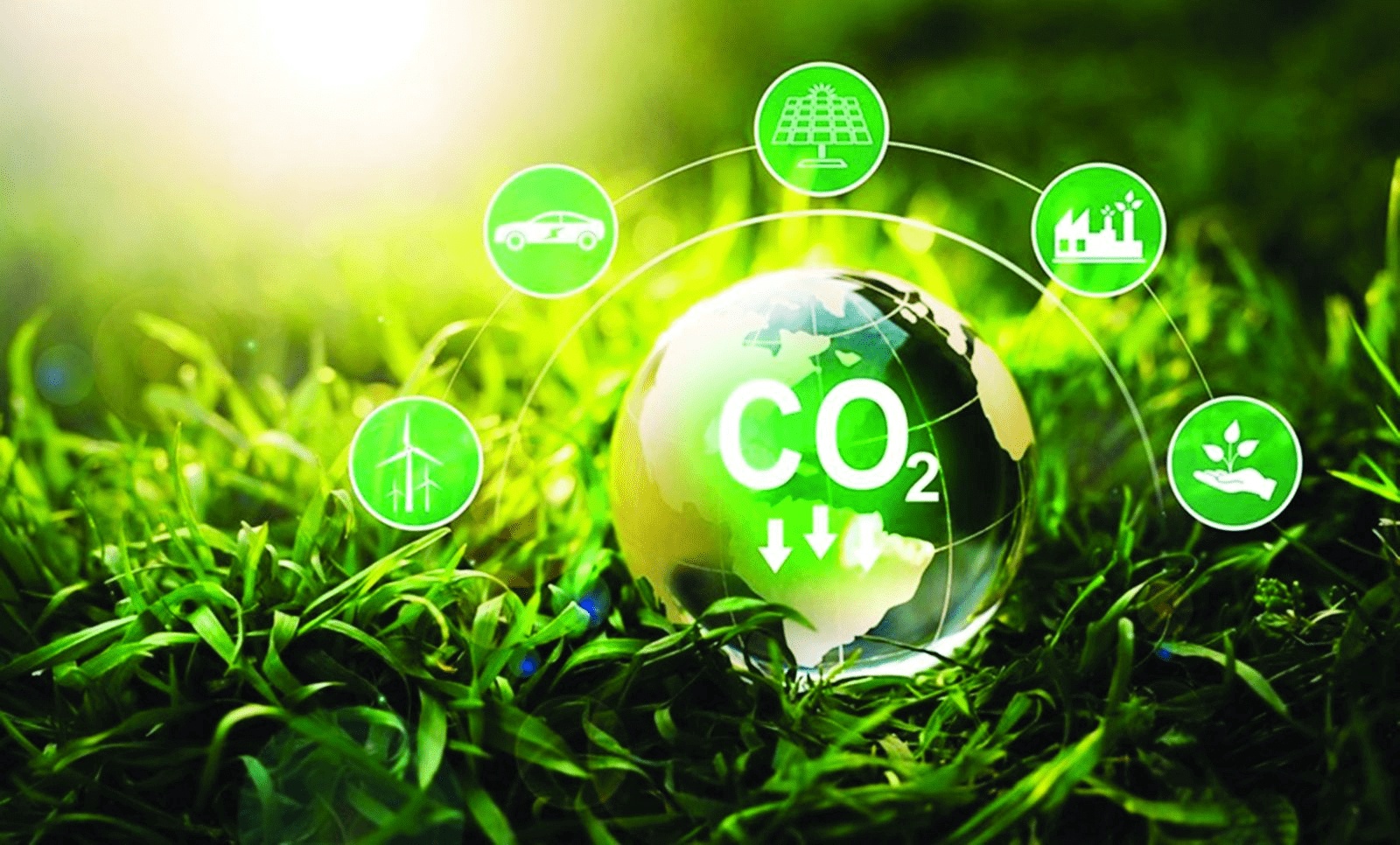 Gấp rút đào tạo nhân lực trước khi thí điểm vận hành sàn giao dịch Carbon