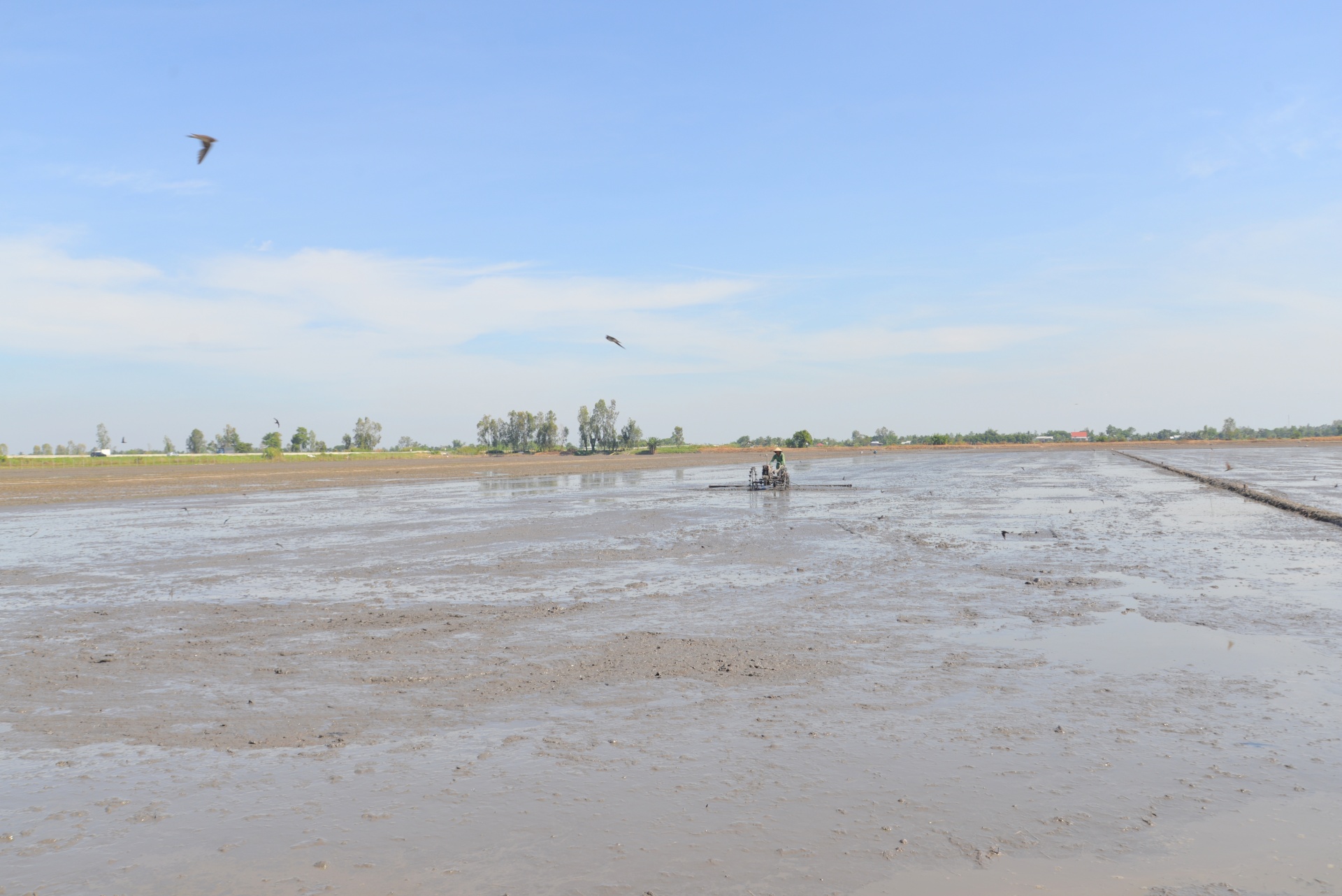 Đổi mới sáng tạo khẳng định vị thế của nông nghiệp Việt Nam Đổi mới sáng tạo khẳng định vị thế của nông nghiệp Việt Nam