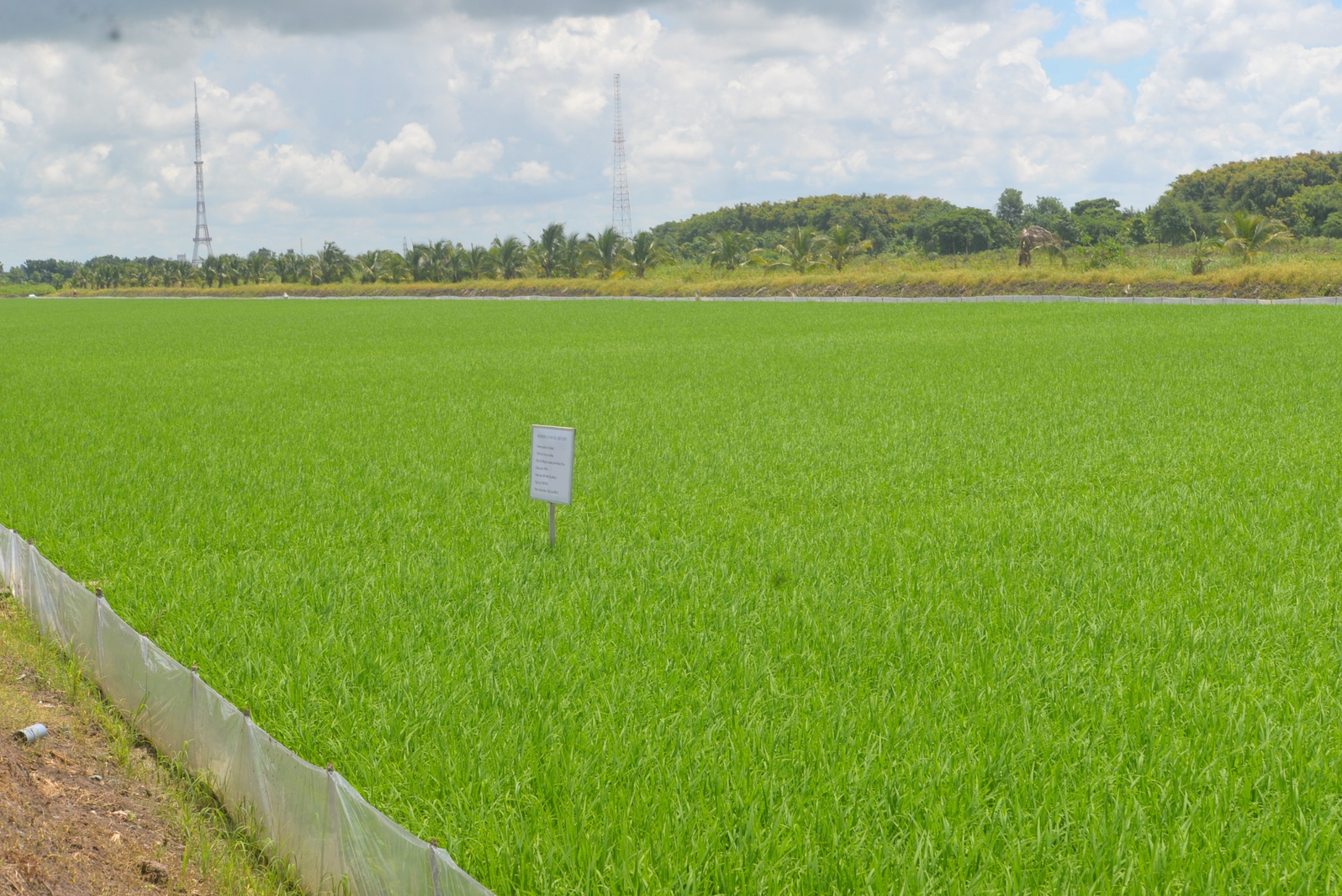 Đổi mới sáng tạo khẳng định vị thế của nông nghiệp Việt Nam Đổi mới sáng tạo khẳng định vị thế của nông nghiệp Việt Nam