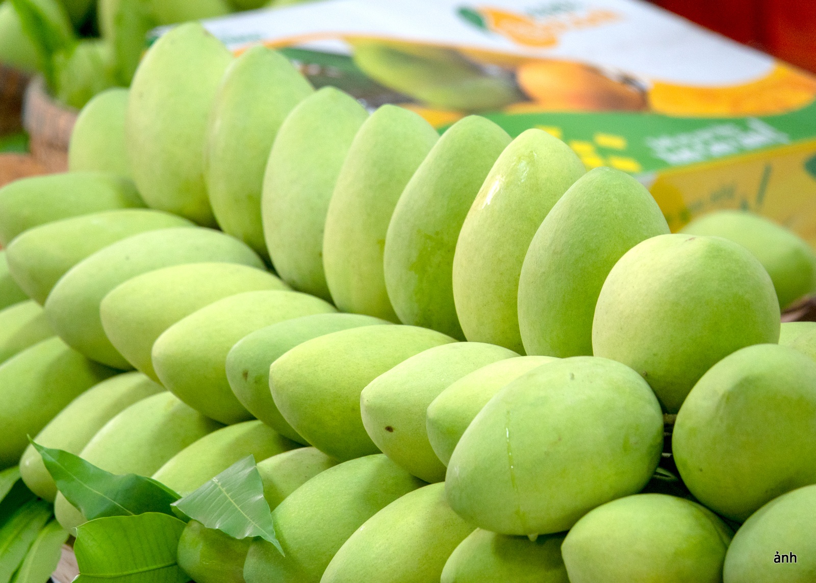 Đổi mới sáng tạo khẳng định vị thế của nông nghiệp Việt Nam Đổi mới sáng tạo khẳng định vị thế của nông nghiệp Việt Nam