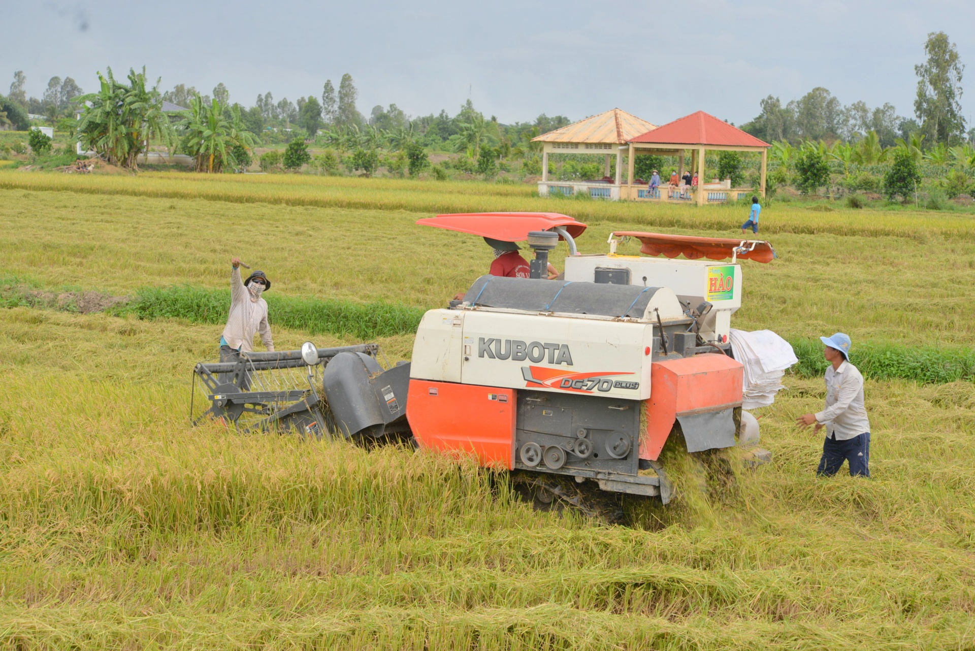 Đổi mới sáng tạo khẳng định vị thế của nông nghiệp Việt Nam Đổi mới sáng tạo khẳng định vị thế của nông nghiệp Việt Nam