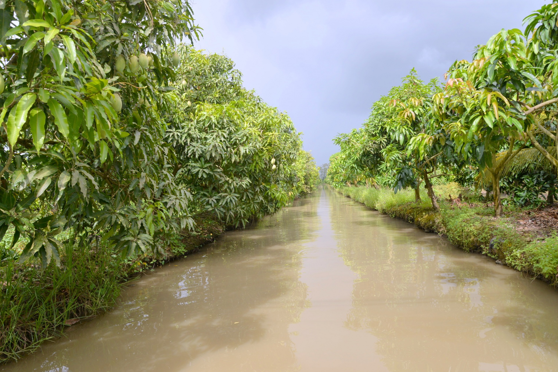 Đổi mới sáng tạo khẳng định vị thế của nông nghiệp Việt Nam Đổi mới sáng tạo khẳng định vị thế của nông nghiệp Việt Nam