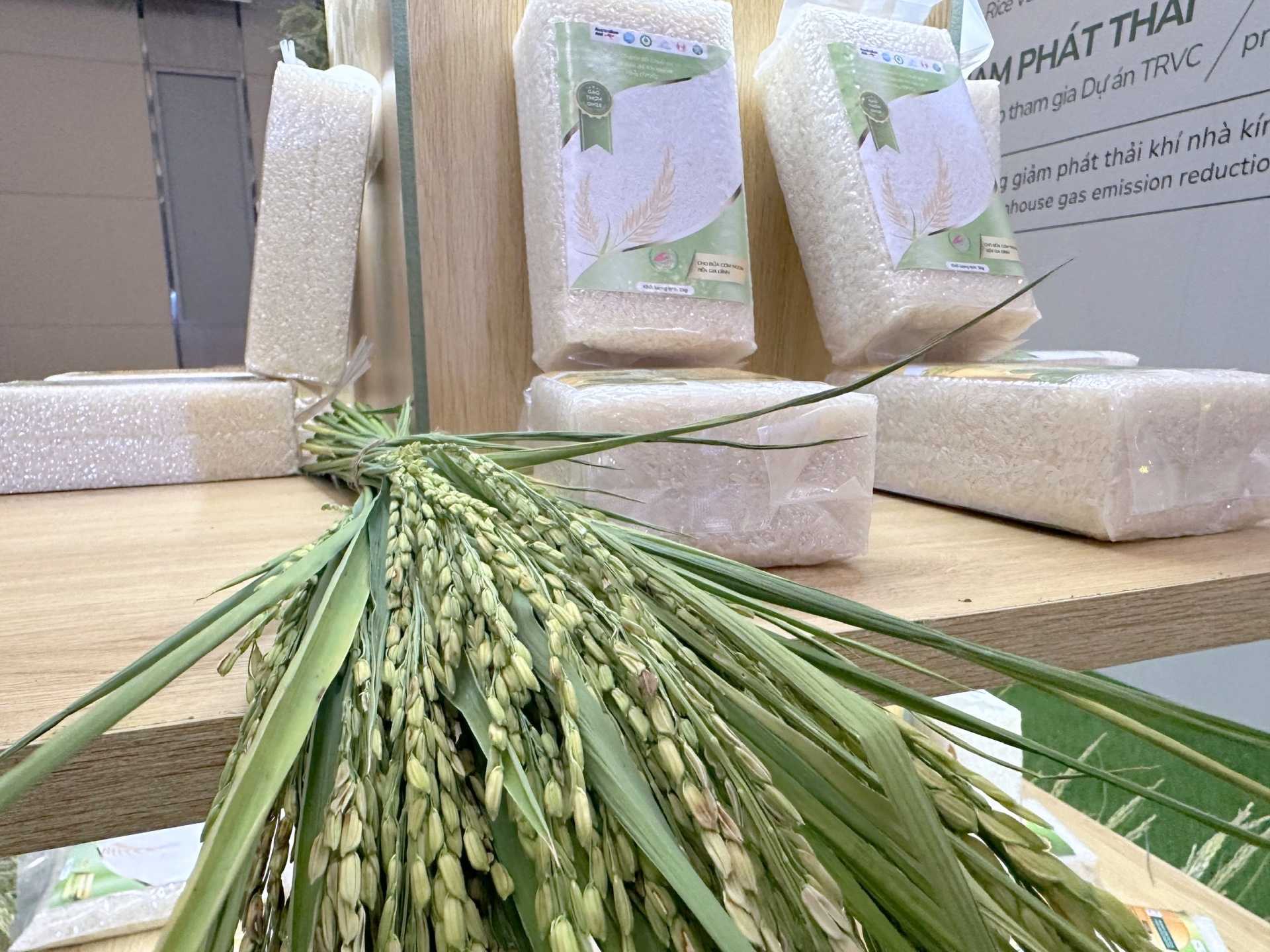 Doanh nghiệp hào hứng khi nhận tiền thưởng canh tác lúa giảm phát thải