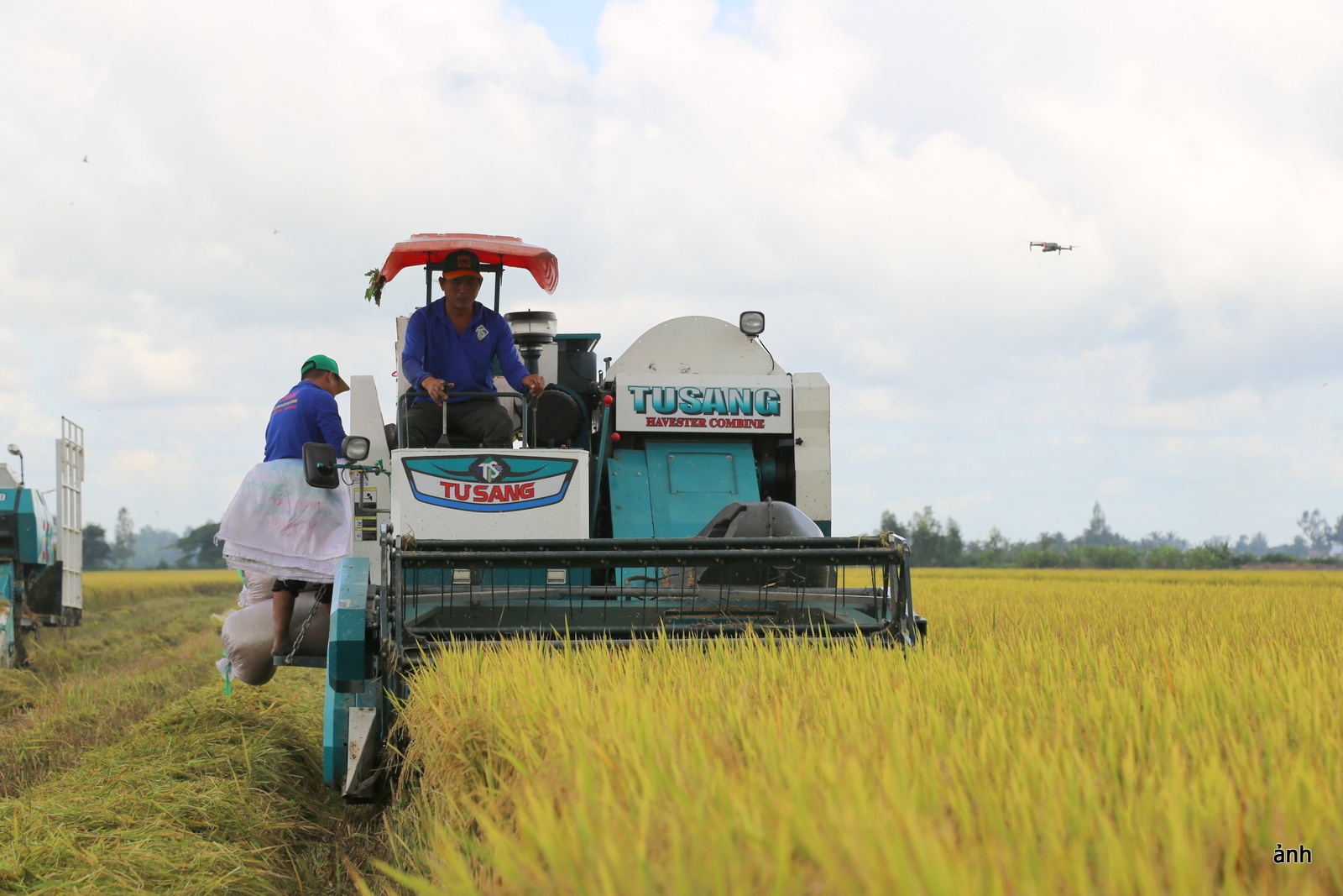 Doanh nghiệp hào hứng khi nhận tiền thưởng canh tác lúa giảm phát thải