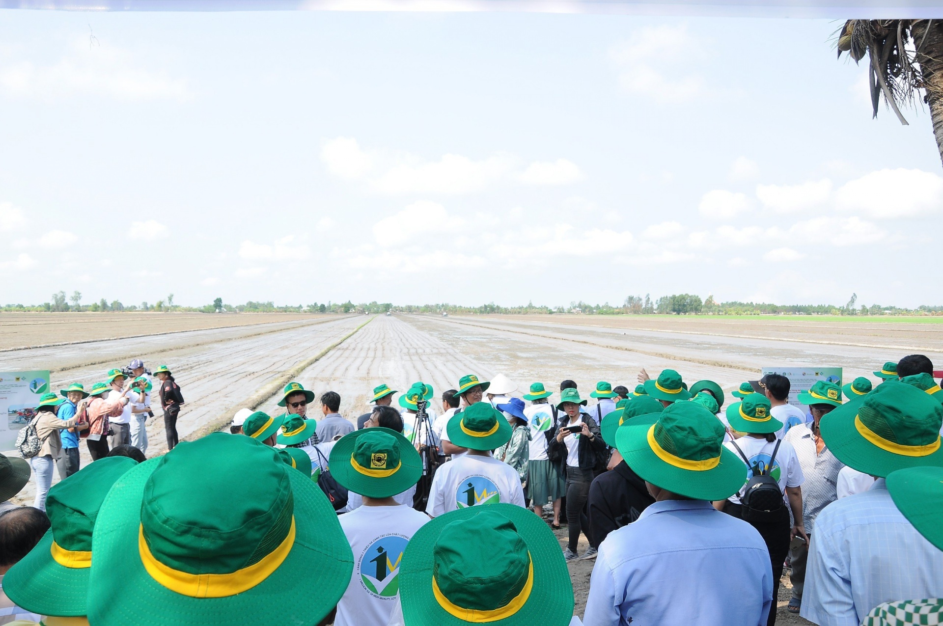 Doanh nghiệp hào hứng khi nhận tiền thưởng canh tác lúa giảm phát thải
