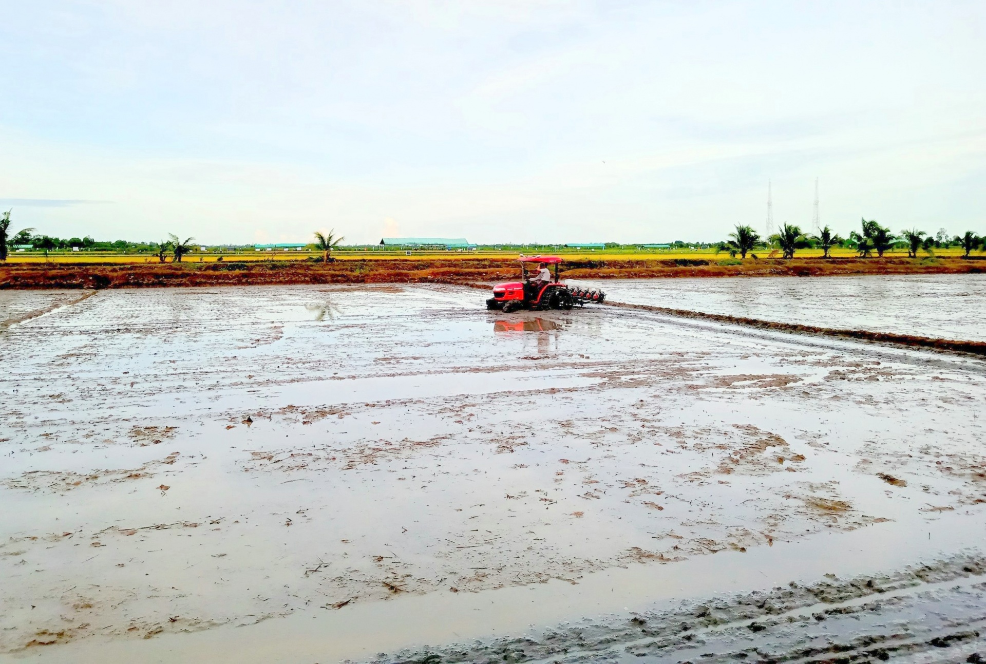 Vùng ĐBSCL đã chủ động thích nghi với xâm nhập mặn