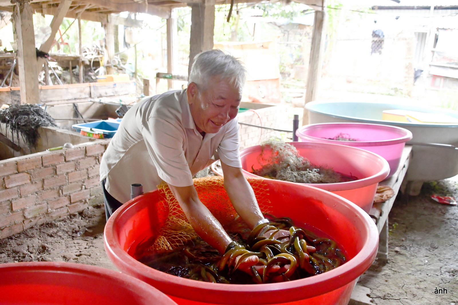 Nhịp đập nơi vùng biên - Kỳ 1: Phát huy tiềm năng, thế mạnh khu vực vùng biên