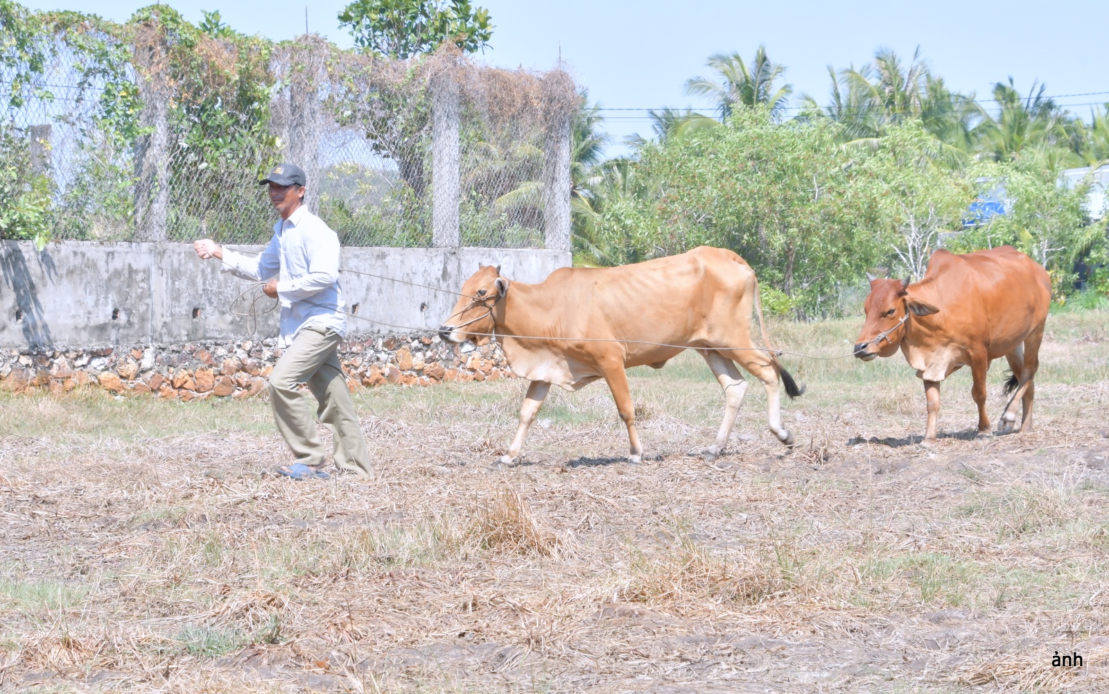 Nhịp đập nơi vùng biên - Kỳ 2: Hà Tiên – trung tâm kinh tế vùng biên