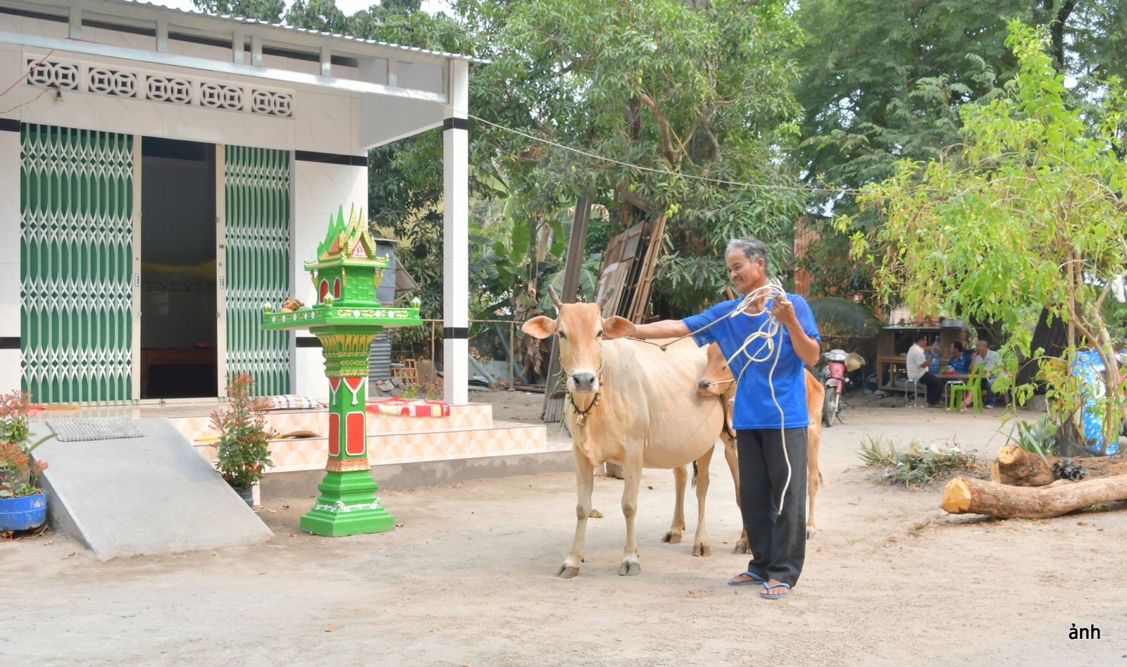 Nhịp đập nơi vùng biên - Kỳ 3: Ba Chúc - đang vươn mình phát triển