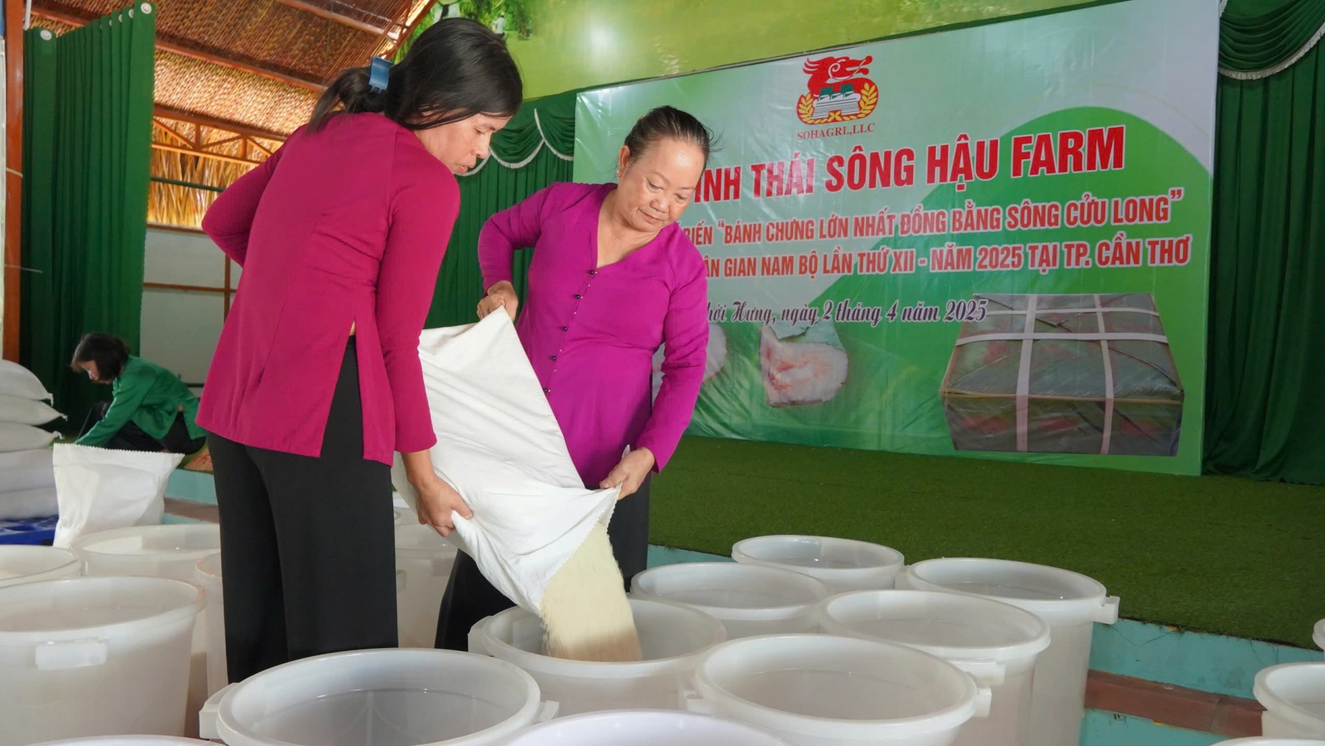 Khu sinh thái Sông Hậu Farm tất bật gói bánh chưng lớn nhất miền Tây