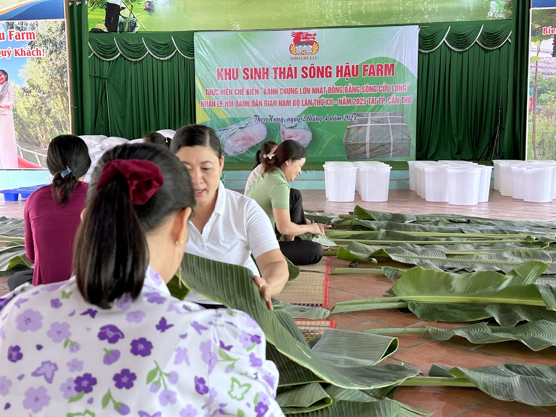 Khu sinh thái Sông Hậu Farm tất bật gói bánh chưng lớn nhất miền Tây