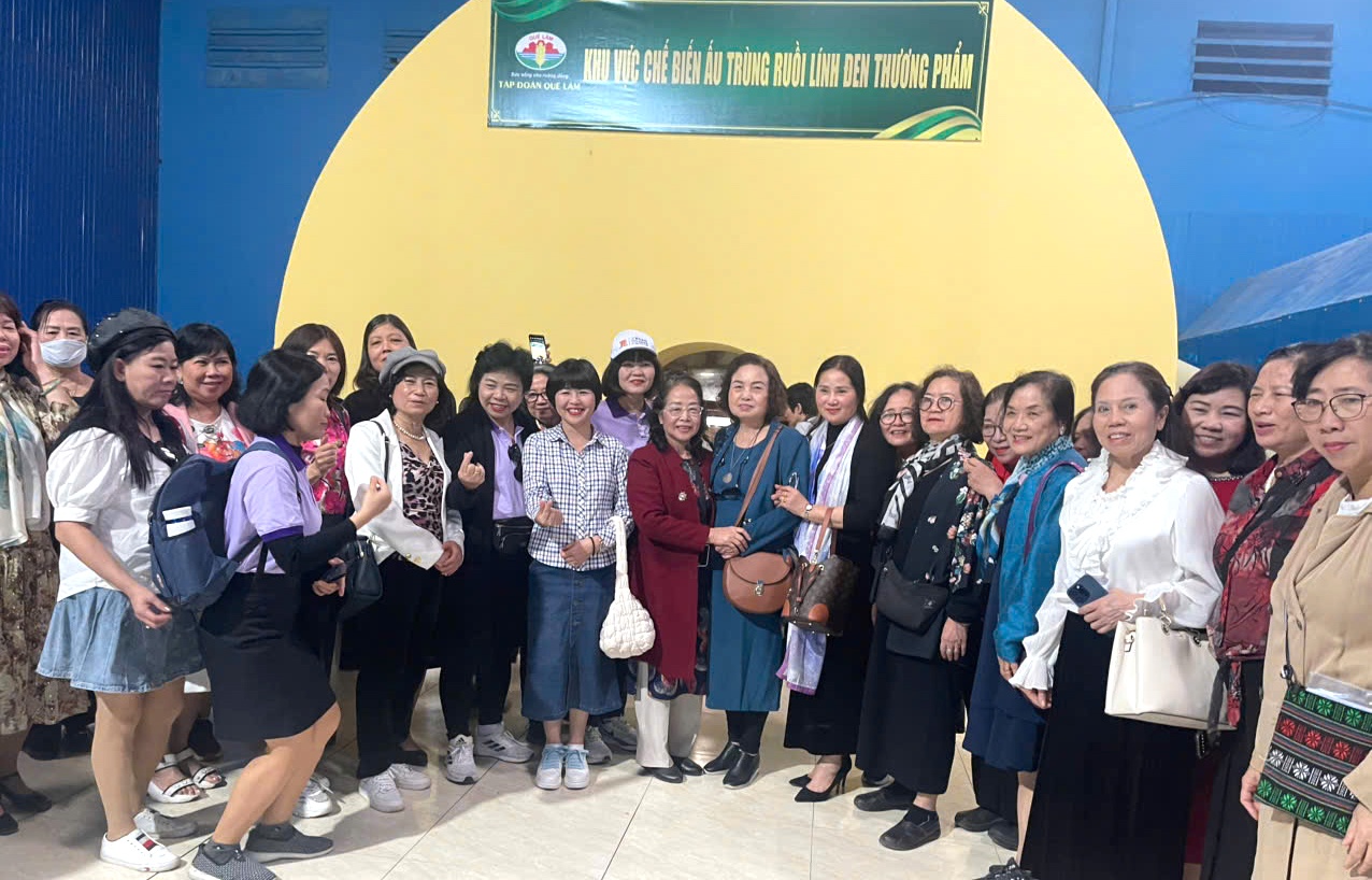 Hội nghị khoa học toàn quốc lần thứ IV Hội Nữ trí thức Việt Nam - Đổi mới, sáng tạo vì môi trường và sức khỏe cộng đồng Hội nghị nữ Khoa học toàn quốc lần thứ IV - Đổi mới, sáng tạo vì môi trường và sức khỏe cộng đồng