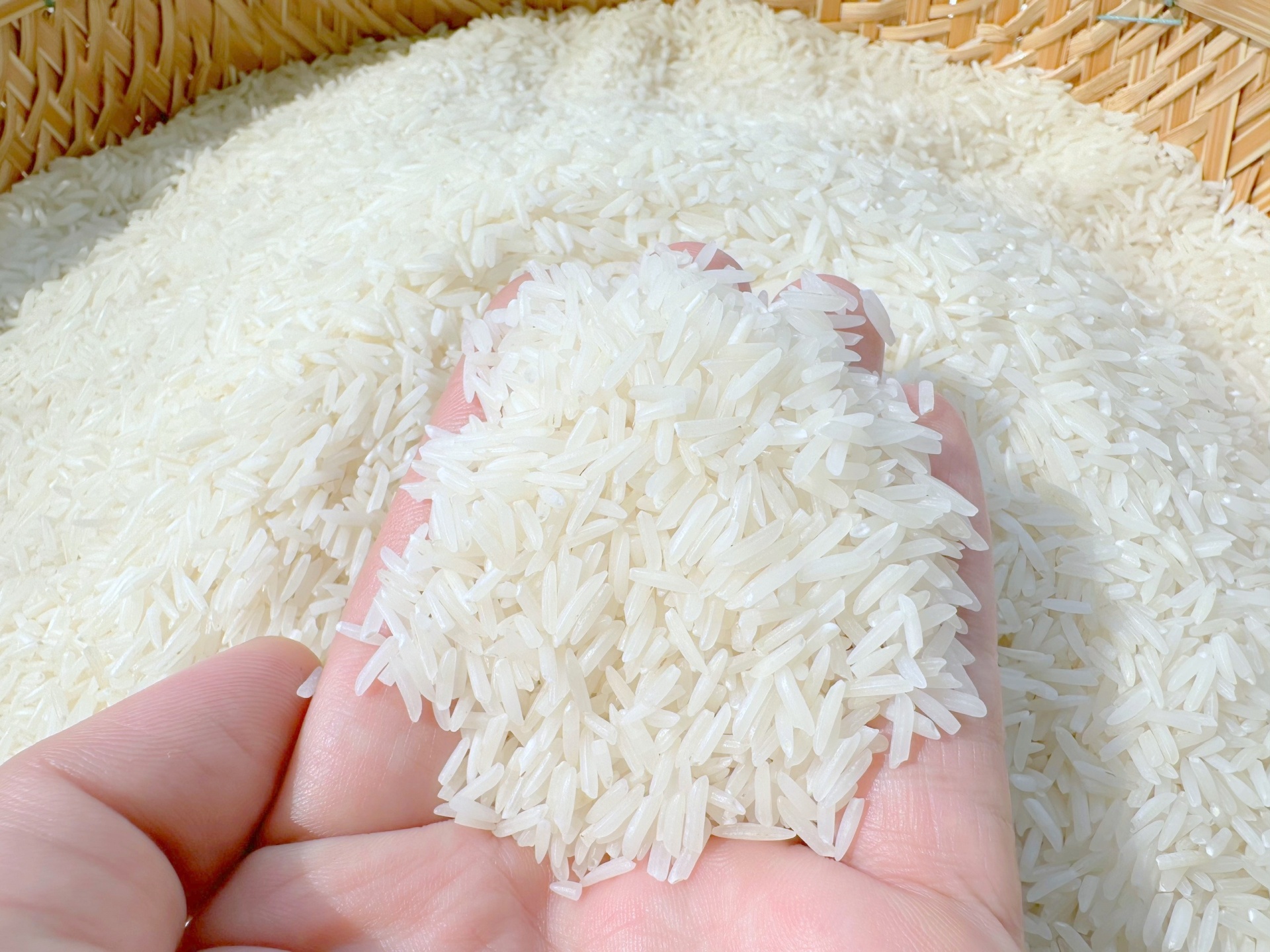 Gạo là niềm tự hào của xuất khẩu Việt Nam