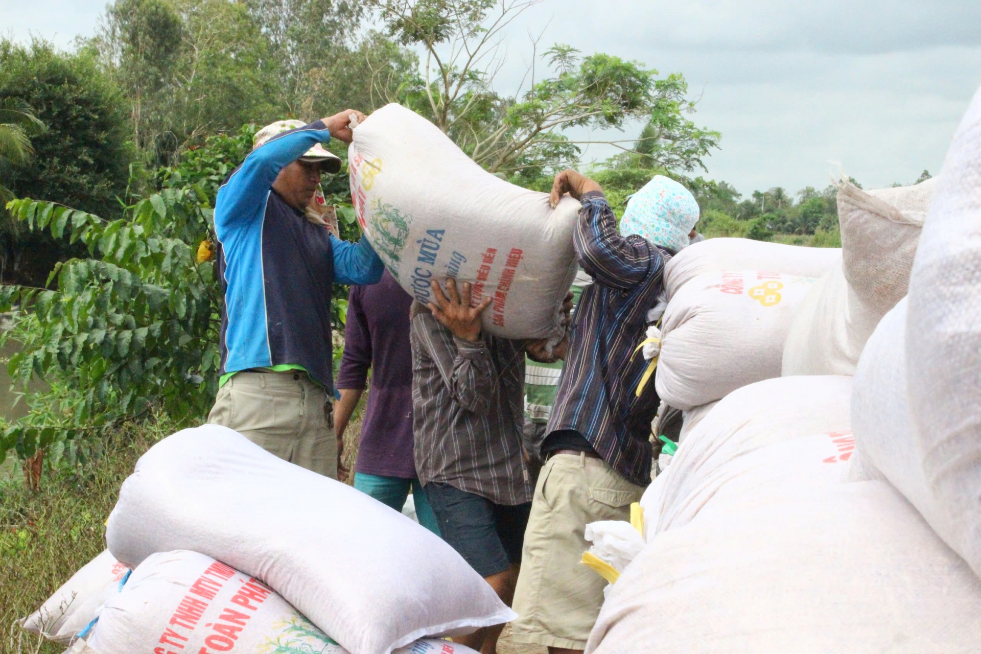 Gạo là niềm tự hào của xuất khẩu Việt Nam