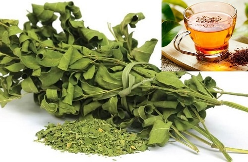 Dây thìa canh: Thảo mộc quý dành cho người bị tiểu đường