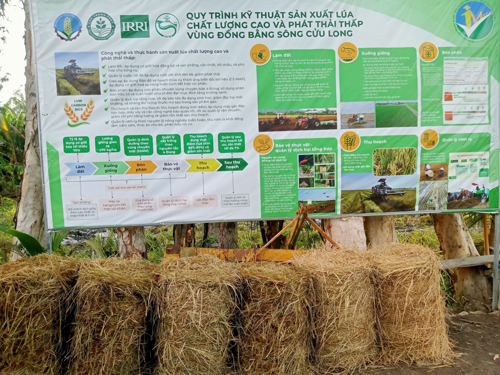 Nông nghiệp tuần hoàn giúp tăng thu nhập và bảo vệ môi trường