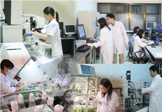 Xác lập quyền sở hữu trí tuệ ở doanh nghiệp sản xuất công nghiệp (Ảnh: CP)