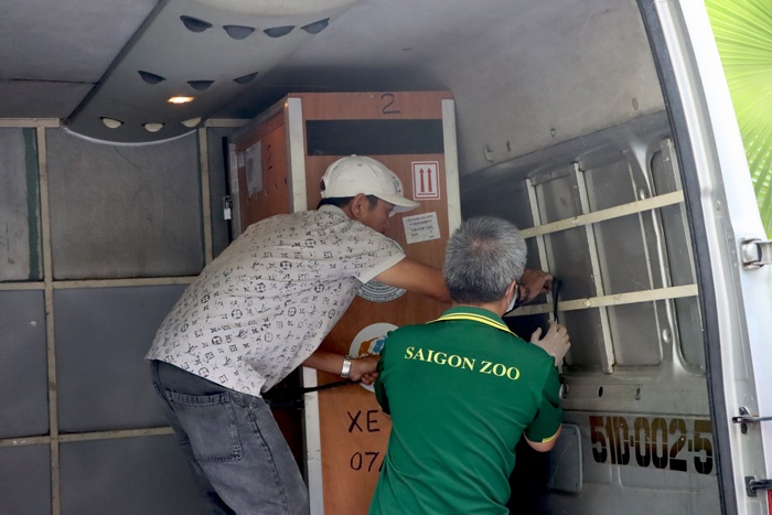 Những sứ giả Sếu đầu đỏ được đưa về vườn Quốc gia Tràm Chim - Đồng Tháp