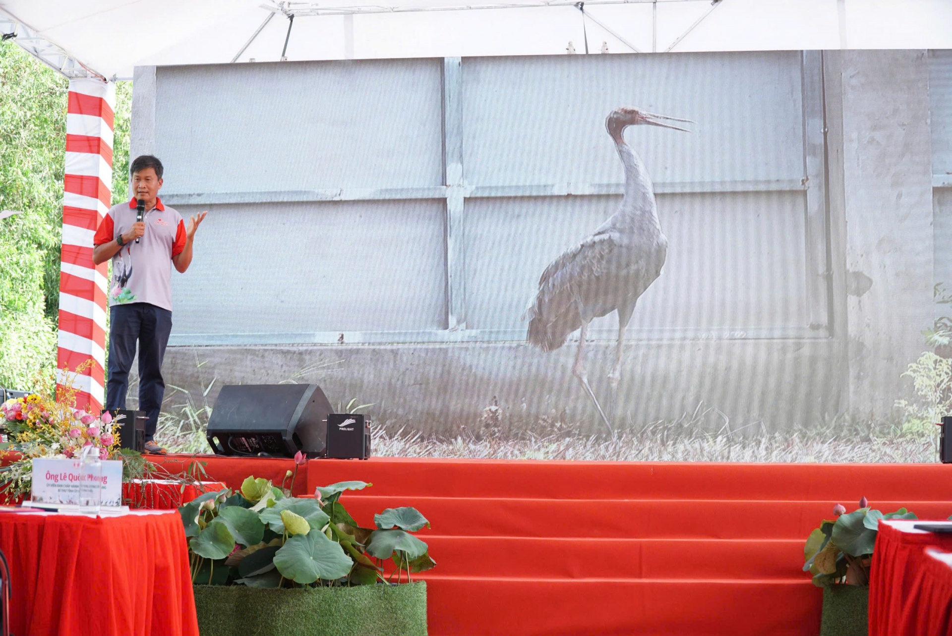 Trách nhiệm giữ gìn hệ sinh thái và bảo tồn Sếu đầu đỏ