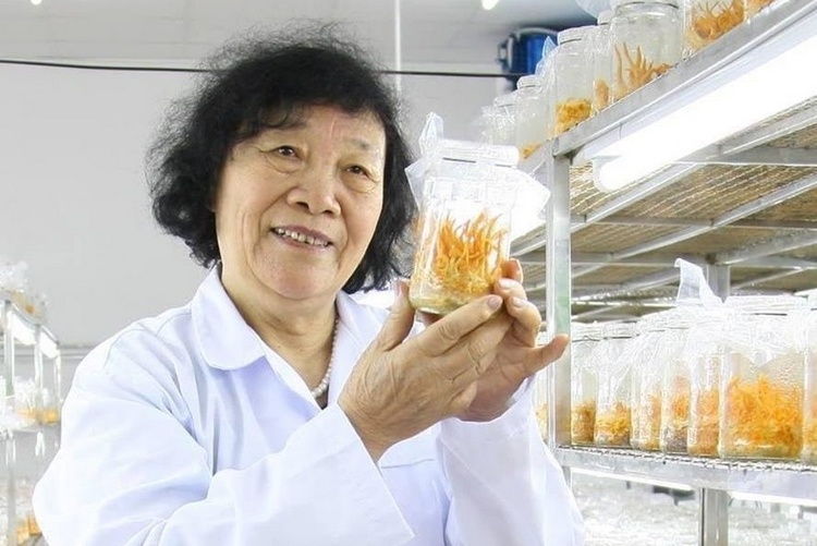 PGS.TS Nguyễn Thị Chính – “bà chúa nấm” với những sản phẩm hỗ trợ điều trị ung thư PGS.TS Nguyễn Thị Chính – “bà chúa nấm” với những sản phẩm hỗ trợ điều trị ung thư