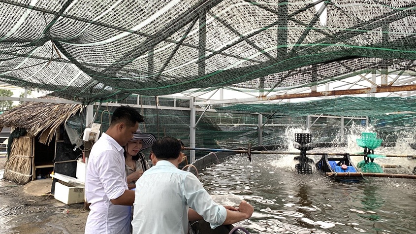 TS. Hoàng Phương Hà và những sáng chế giúp xử lý ô nhiễm môi trường