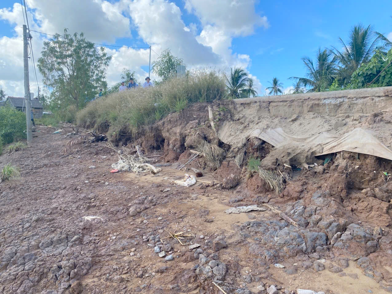 Trà Vinh công bố tình huống khẩn cấp sự cố sạt lở đê bao ở huyện Càng Long Trà Vinh công bố tình huống khẩn cấp sự cố sạt lở đê bao ở huyện Càng Long