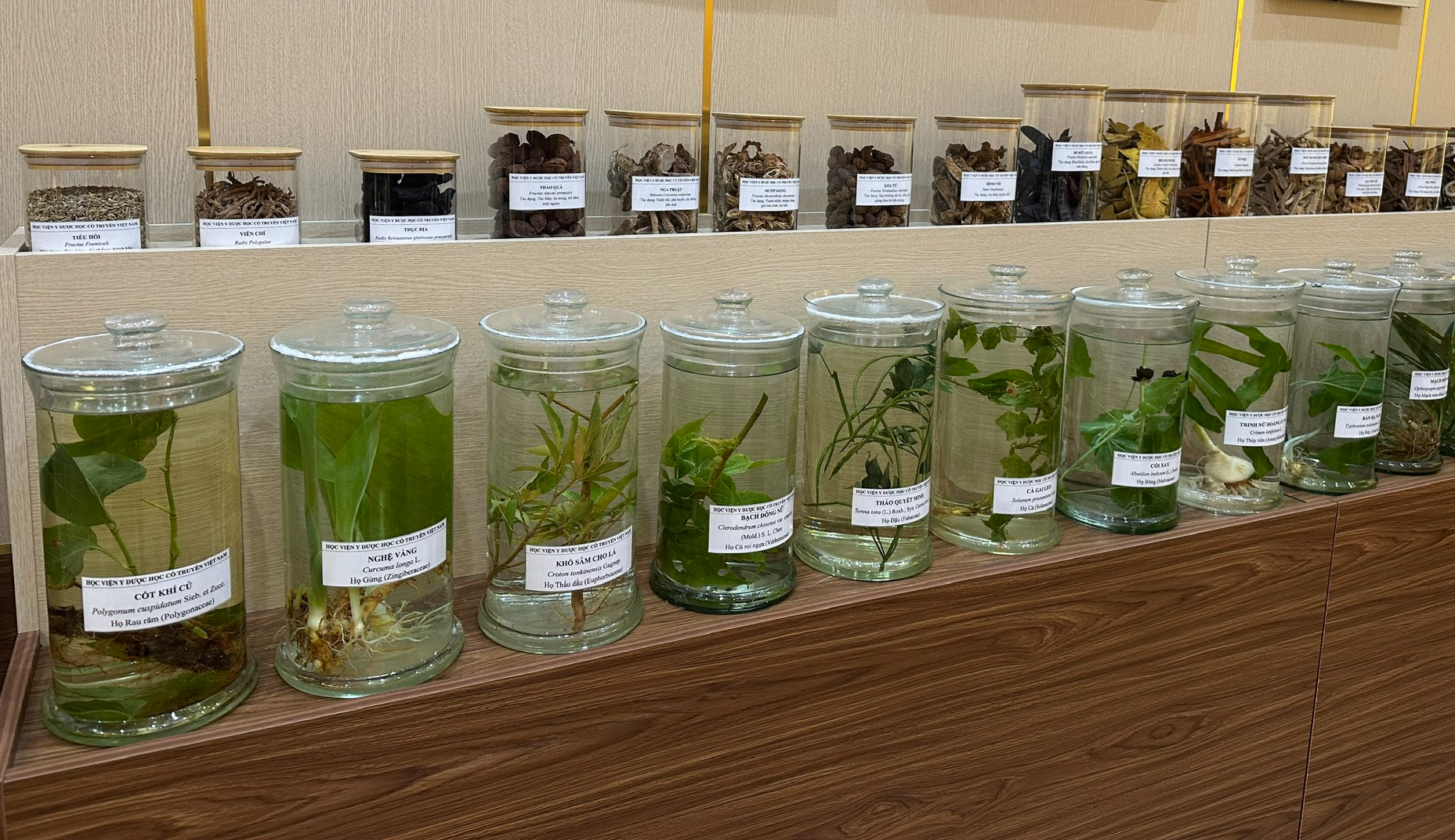 Phát triển y học cổ truyền là bảo tồn bản sắc, thể hiện tinh thần tự cường dân tộc Phát triển y học cổ truyền là bảo tồn bản sắc, thể hiện tinh thần tự cường dân tộc