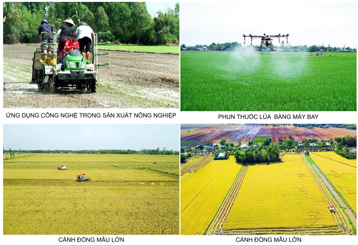 Bạc Liêu xây dựng huyện Phước Long thành vùng quê đáng sống Bạc Liêu xây dựng huyện Phước Long thành vùng quê đáng sống