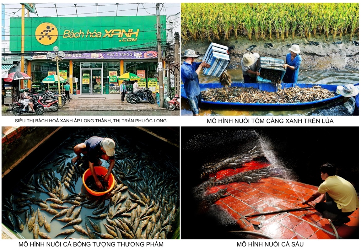 Bạc Liêu xây dựng huyện Phước Long thành vùng quê đáng sống Bạc Liêu xây dựng huyện Phước Long thành vùng quê đáng sống