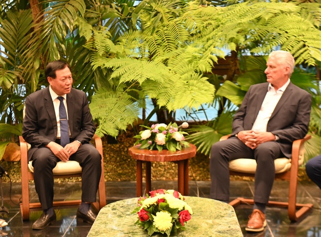 Chủ tịch Cuba Miguel Díaz-Canel Bermúdez tiếp Thứ trưởng Đỗ Xuân Tuyên. (Ảnh: TTXVN)