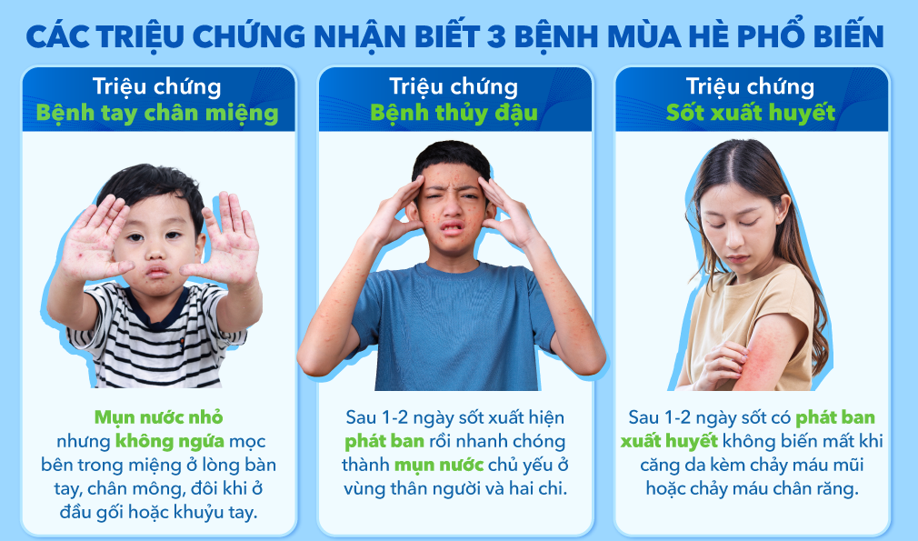 Chủ động phòng bệnh và theo dõi sức khỏe trong mùa hè